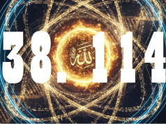 RUH VE MASTER KODU (38.114)